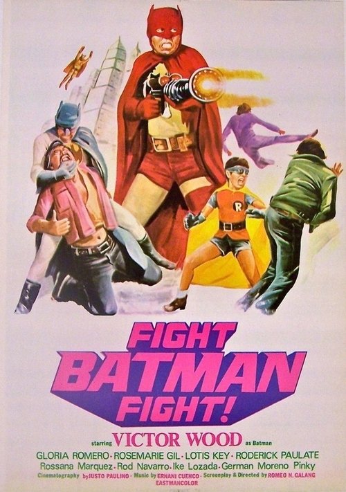 Fight Batman Fight!