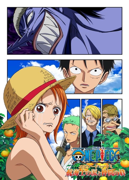 One Piece Episode of Nami